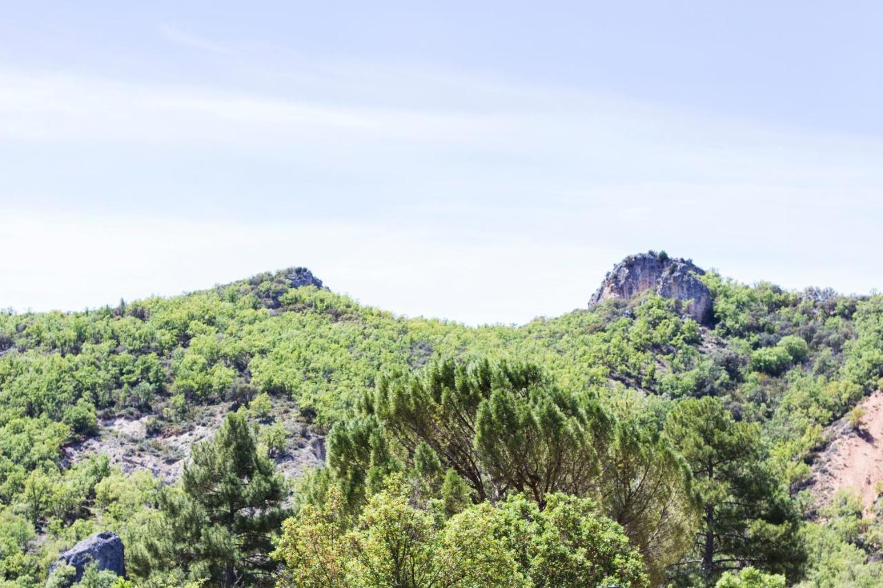 Apartamentos Rurales El Colvillo Trillo Exteriör bild